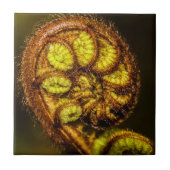 Young Fern Blätter Fliese (Vorderseite)