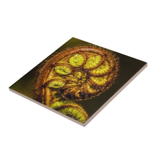 Young Fern Blätter Fliese (Seite)