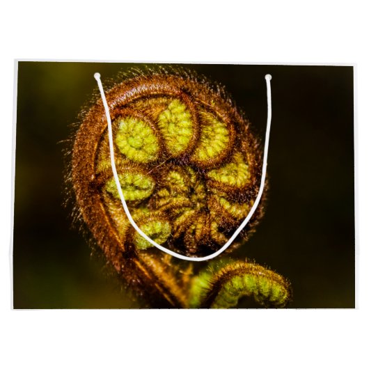 Young Fern Blätter Große Geschenktüte (Rückseite)