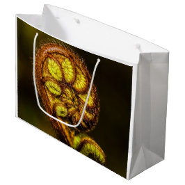 Young Fern Blätter Große Geschenktüte