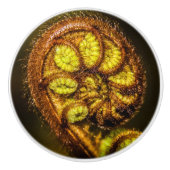 Young Fern Blätter Keramikknauf (Vorderseite)