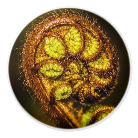 Young Fern Blätter Keramikknauf (Vorderseite)
