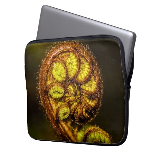 Young Fern Blätter Laptopschutzhülle (Vorderseite Links)