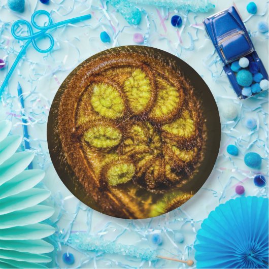 Young Fern Blätter Pappteller (Party)