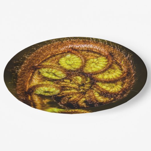 Young Fern Blätter Pappteller (Schrägansicht)