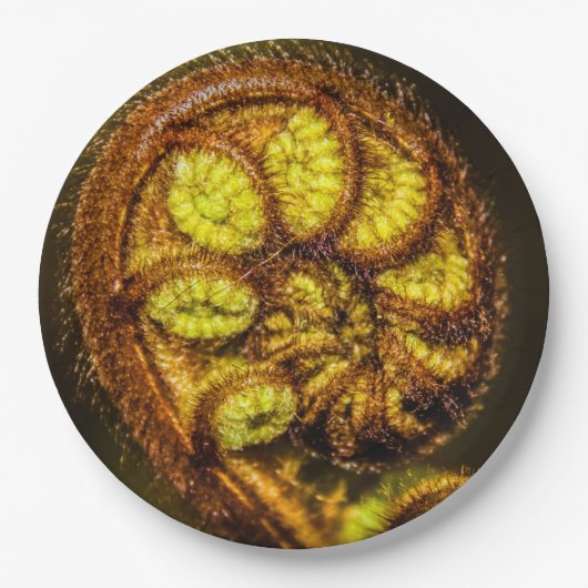 Young Fern Blätter Pappteller (Vorderseite)