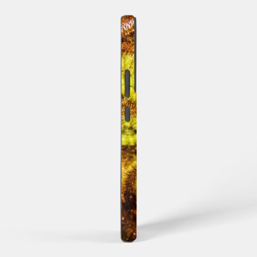 Young Fern Blätter Samsung Galaxy Hülle (Rechte Seite)