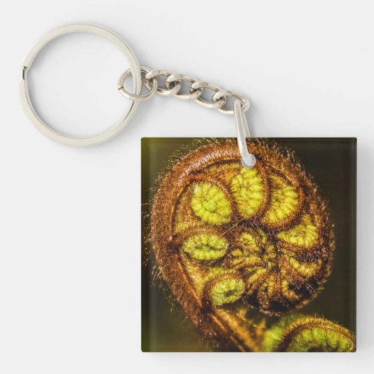 Young Fern Blätter Schlüsselanhänger (Vorderseite)