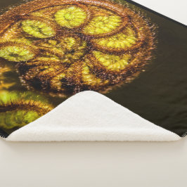 Young Fern Blätter Sherpadecke