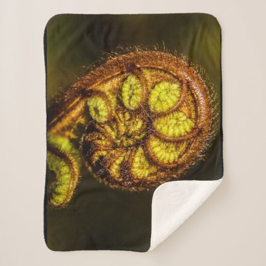 Young Fern Blätter Sherpadecke (Vorderseite)