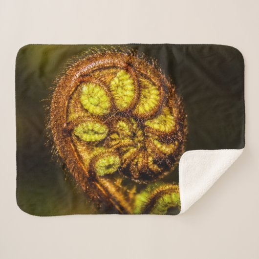 Young Fern Blätter Sherpadecke (Vorderseite (Horizontal))