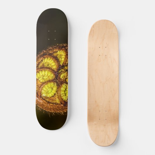 Young Fern Blätter Skateboard (Vorderseite)