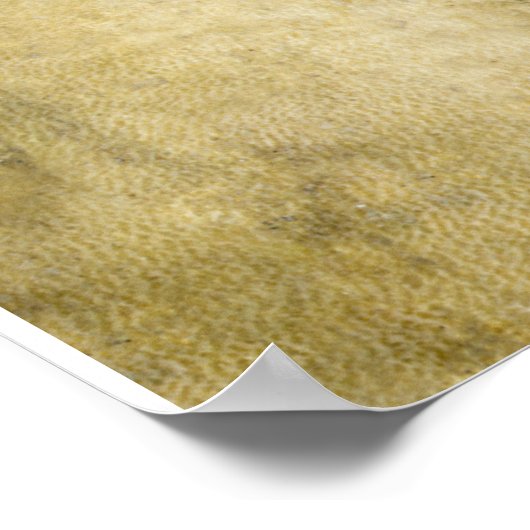 Young Fiancée (1495). Gemalt von Leonardo da Vinci Poster (Ecke)