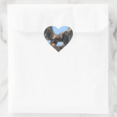 Young Florida Bald Eagle Stickers (Tasche)