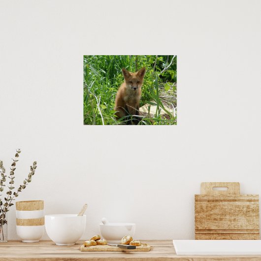 Young Fox Poster (Küche)