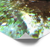 Young French Angelfish Poster (Ecke)