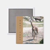 Young Giraffe Walking Deine Textmagnete Magnet (Vorderseite/Rückseite)