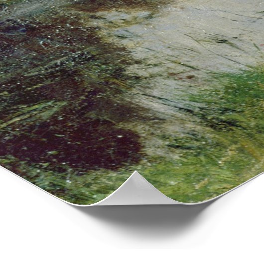 Young Girl in the Fields, Poster (Ecke)