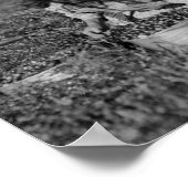 Young Girls Picking Cranberries Fotografie Poster (Ecke)