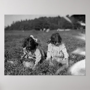 Young Girls Picking Cranberries Fotografie Poster