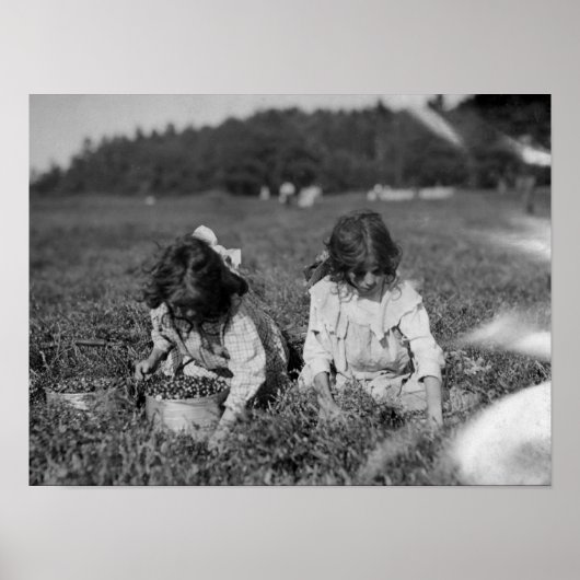 Young Girls Picking Cranberries Fotografie Poster (Vorne)