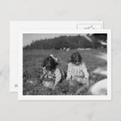 Young Girls Picking Cranberries Fotografie Postkarte (Vorne/Hinten)