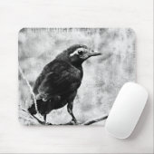 Young Grackle Mousepad (Mit Mouse)