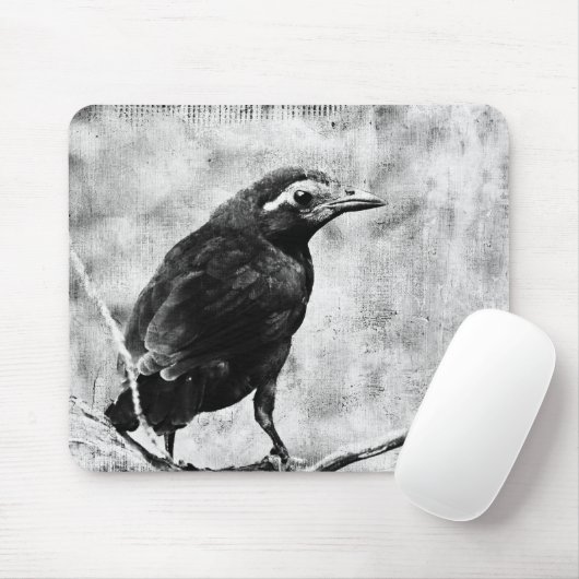 Young Grackle Mousepad (Mit Mouse)