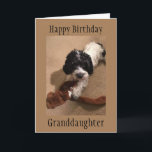 "YOUNG GRANDDAUGHTER" GLÜCKLICHE BIRTHDAKARTE KARTE<br><div class="desc">SAGEN SIE IHREN ***GRANDDAUGHTER*** "MIT DIESER KARTE",  DASS SIE IHREN "SEHR GLÜCKLICHEN GEBURTSTAG" UND SIE **LIEBE** HER WÜNSCHEN. VIELEN DANK,  DASS SIE VON EINER MEINER ACHT GESCHÄFTE GESCHAFFEN HABEN.</div>