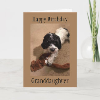 "YOUNG GRANDDAUGHTER" GLÜCKLICHE BIRTHDAKARTE KARTE