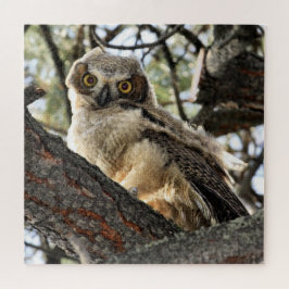 Young Great Horned Owl Jigsaw Puzzle
