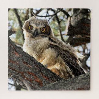 Young Great Horned Owl Jigsaw Puzzle