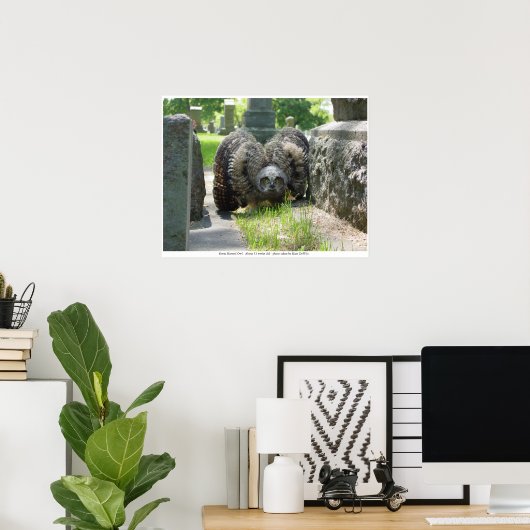 Young Great Horned Owl Poster (Heimbüro)