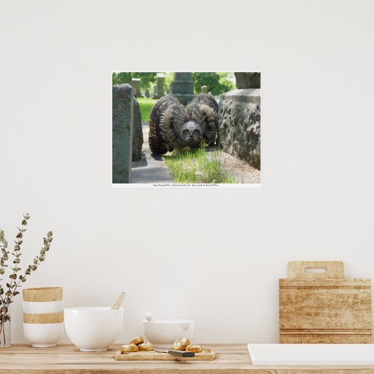 Young Great Horned Owl Poster (Küche)