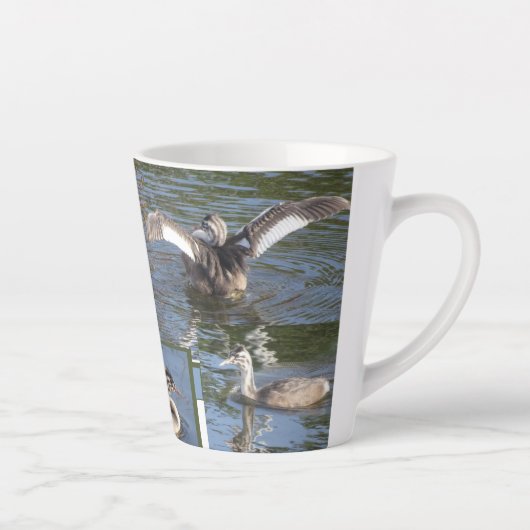 Young Grebe Birds Design Latte Tasse (Rechts)