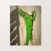 Young Green Iguana on Rock Path Puzzle (Vertikal)
