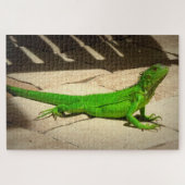 Young Green Iguana on Rock Path Puzzle (Horizontal)