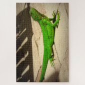 Young Green Iguana on Rock Path Puzzle (Vertikal)