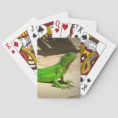 Young Green Iguana on Rock Path Spielkarten (Rückseite)