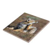 Young Grey Fox im Torres Del Paine Nationalpark Fliese (Seite)