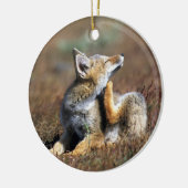 Young Grey Fox im Torres Del Paine Nationalpark Keramik Ornament (Links)