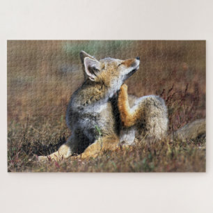 Young Grey Fox im Torres Del Paine Nationalpark Puzzle