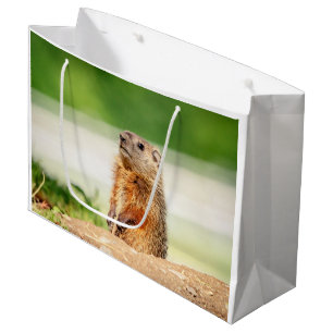 Young Groundhog Große Geschenktüte