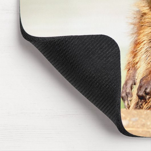 Young Groundhog Mousepad (Ecke)