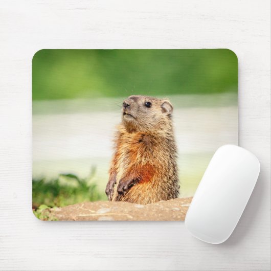 Young Groundhog Mousepad (Mit Mouse)