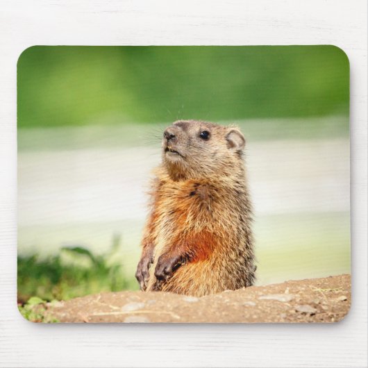 Young Groundhog Mousepad (Vorne)