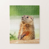 Young Groundhog Puzzle (Vertikal)