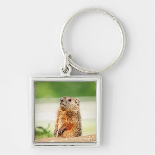Young Groundhog Schlüsselanhänger (Vorne)