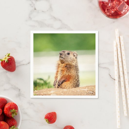Young Groundhog Serviette (Beispiel)