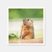Young Groundhog Serviette (Vorderseite)